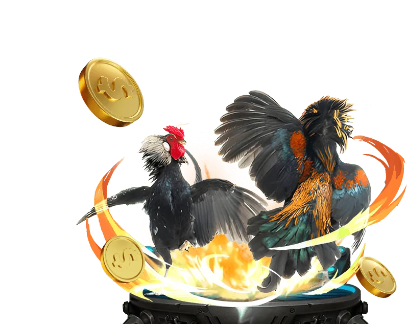 Đá gà trực tiếp SV388 Thomo